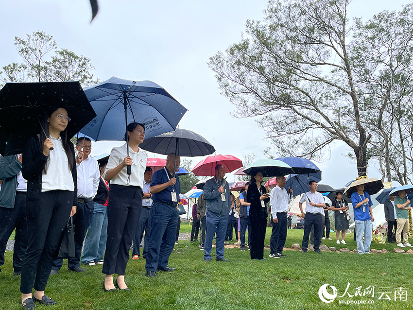 政商代表雨中參會(huì)。人民網(wǎng)記者 程浩攝