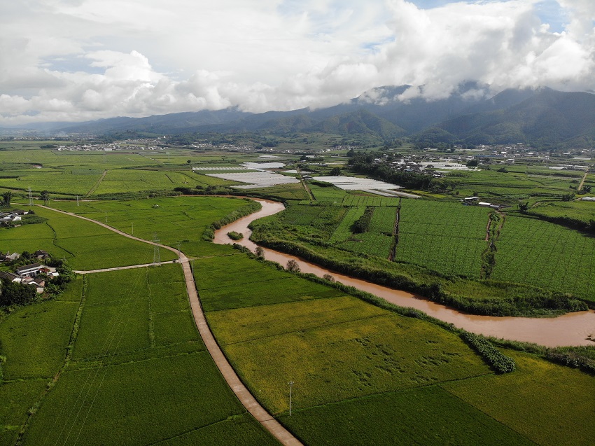 稻田。景東縣融媒體中心供圖