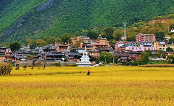 留住一抹田園鄉愁！維西縣啟別村做活別樣鄉村旅游