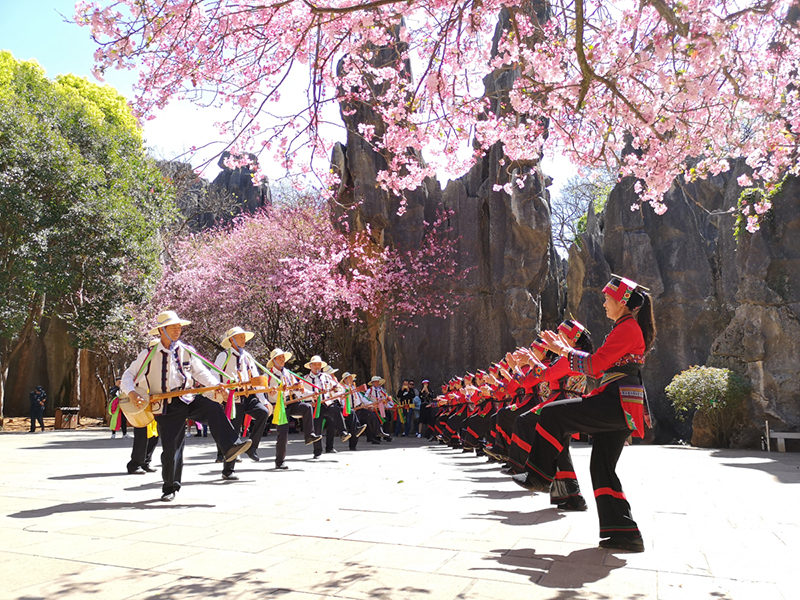 圖為石林風(fēng)景名勝區(qū)。石林風(fēng)景名勝區(qū)管理局供圖