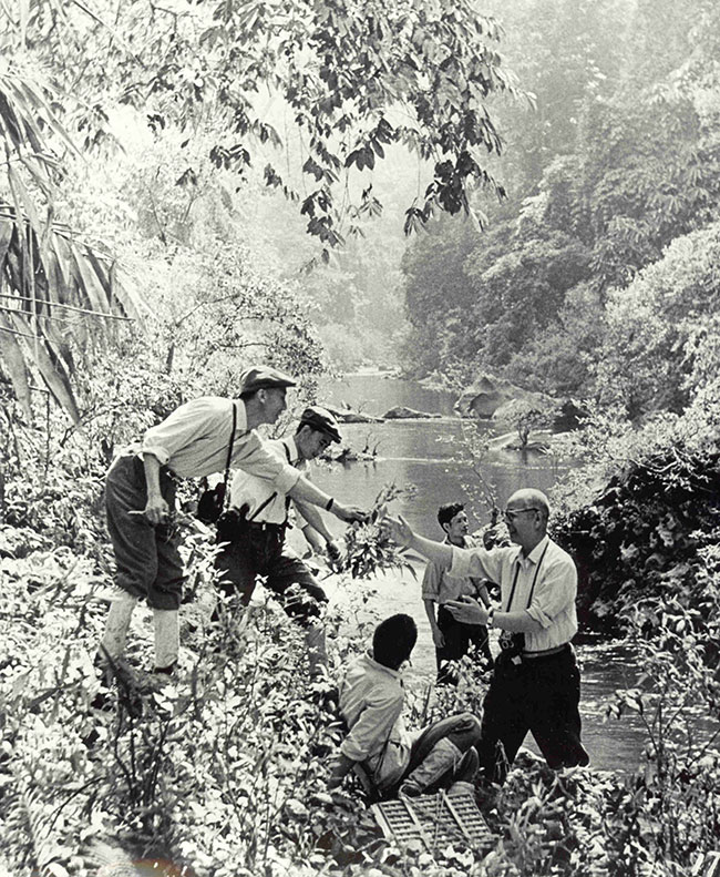 1974年，蔡希陶（右）和他的學(xué)生在原始森林中考察。中國(guó)科學(xué)院西雙版納熱帶植物園供圖