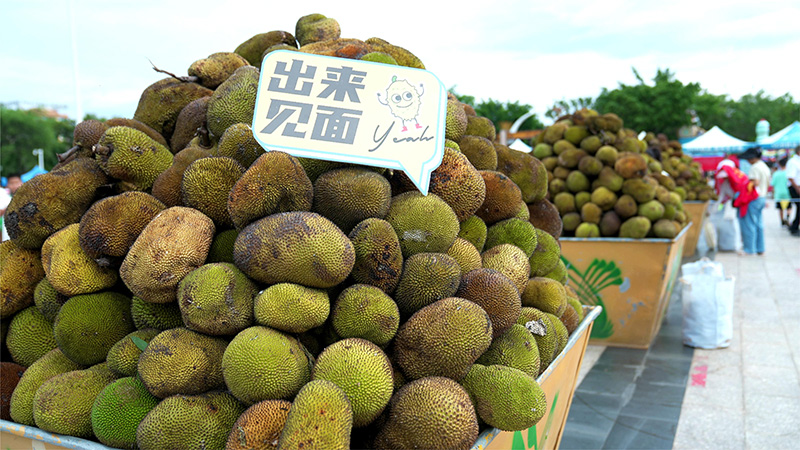 【3】菠蘿蜜、芒果……果實(shí)分享現(xiàn)場(chǎng)，大車的水果堆在芒市廣場(chǎng)上，空氣中彌漫著果香。楊幫慶-攝