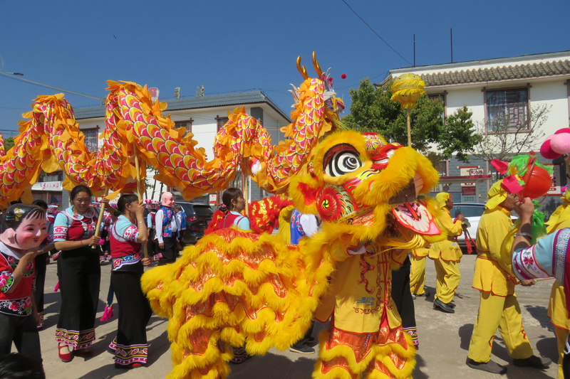 桃源龍獅隊(duì)在牟定縣第七個(gè)農(nóng)民豐收節(jié)節(jié)日現(xiàn)場進(jìn)行舞龍獅表演。孫艷攝.jpg